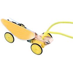 WaNana Electric Locust Reptile Bionic Robot-Electric Motor Physical Science Toys-Circuit Building STEAM Toys-DIY Wooden Science Experiment Kits for Kids Fashion
