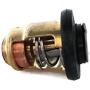 Boat Motor Cylinder Thermostat for Yamaha Outboard F 4HP - 70HP 66M-12411-01 6G8-12411 60 degrees 4-stroke Engine