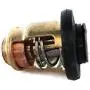 Boat Motor Cylinder Thermostat for Yamaha Outboard F 4HP - 70HP 66M-12411-01 6G8-12411 60 degrees 4-stroke Engine
