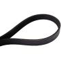 Continental Elite 4050272S Poly-V/Serpentine Stretch Belt Assorted One Size