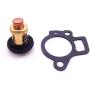 SouthMarine Boat Engine Thermostat Kit 66M-12411-00 66M-12411-01 and Gasket 65W-12414-00 62Y-12414-00 for Yamaha 9.9-70hp 4-Stroke Outboard Motor