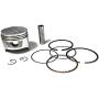 Piston Kit Assy Ring Set Pin Clip for Honda GX240 13101-ZE2-010 and 8HP Engines 73MM Lawn Mower Trimmer Motor Engine