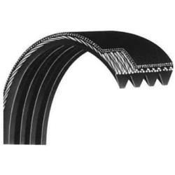 Main Motor Drive Belt KK2134 or vegax220l8r or vegax210l5r Works W Nauti-LUS Schwin Trimline Bow-Flex Treadclimber Treadmill
