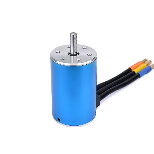 SURPASS HOBBY Blue 3660 4300KV Sensorless Brushless Motor Shaft 3.175mm for 1/10 RC Car