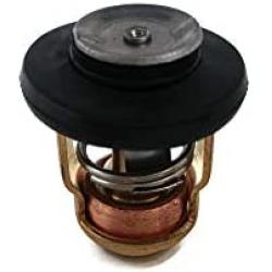 Boat Motor Thermostat 6G8-12411-00-00 01 66M-12411 F15-07000031 for Yamaha Parsun Makara Outboard 2.5HP 4HP 6HP 8HP 15HP 30HP 40HP 50HP 60HP 70HP 80HP 90HP 4-Stroke Engine