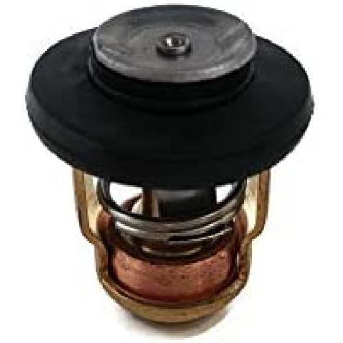 Boat Motor Thermostat 6G8-12411-00-00 01 66M-12411 F15-07000031 for Yamaha Parsun Makara Outboard 2.5HP 4HP 6HP 8HP 15HP 30HP 40HP 50HP 60HP 70HP 80HP 90HP 4-Stroke Engine
