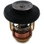 Boat Motor Thermostat 6G8-12411-00-00 01 66M-12411 F15-07000031 for Yamaha Parsun Makara Outboard 2.5HP 4HP 6HP 8HP 15HP 30HP 40HP 50HP 60HP 70HP 80HP 90HP 4-Stroke Engine