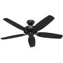Hunter Fan Company 53243 Builder Elite Indoor Ceiling Fan with Pull Chain Control, 52