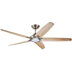 Dorian Eco 60 Inch Ceiling Fan with Light | Dimmable LED Fixture with Premium DC Motor | 6-Speed Wall Control with Natural Solid Wood Blades with and Downrod Mount, Brushed Steel