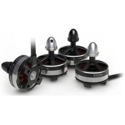 SKYRC X2204 KV2300 CW / CCW Brushless Motor Multirotor Motor with Screws for RC Quadcopter
