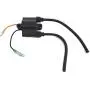 Boat Motor Genuine OEM Made in Japan 680-85570-00 01 09 Ignition Coil Assy Yamaha Outboard F6-20HP 2-stroke Engine