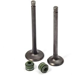 MOTO1988 Engine Valve Set Exhaust Valve Intake Valves For Honda XR100R XR80R CRF100F CRF80F NSF100 XL100S XL75 XL80S XR100 XR75 XR80 OEM 14711-152-000 14721-176-000