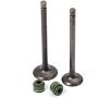 MOTO1988 Engine Valve Set Exhaust Valve Intake Valves For Honda XR100R XR80R CRF100F CRF80F NSF100 XL100S XL75 XL80S XR100 XR75 XR80 OEM 14711-152-000 14721-176-000