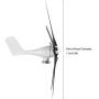 1600W Windmill Generator 5 Blade Small Wind Turbines Kit Industrial Energy Equipment (Black 24V)