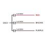 uxcell Ceiling Fan Capacitor CBB61 5/5/5uF 250V AC 4 Wires Metallized Polypropylene Film Capacitor 48x38x26mm for Electric Fan Pump Motor Generator 3Pcs
