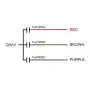 uxcell Ceiling Fan Capacitor CBB61 5/5/5uF 250V AC 4 Wires Metallized Polypropylene Film Capacitor 48x38x26mm for Electric Fan Pump Motor Generator 2Pcs