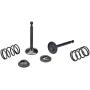 Cancanle Intake Inlet Exhaust Valve Spring Collet Retainer Set for Honda GX160 GX200 168F 170F 5.5-6.5HP Gas Engine Motor Generator Mower