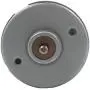 MotoRong ZYTD555 High Speed Auto Machinery Motor 12V 5300rmp DC Brushed Motor