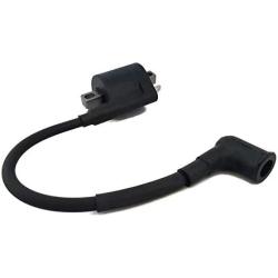 Boat Motor 16064A1 16064A 1 369-06050-2 0M Ignition Coil Assy For Mercury Mariner Quicksilver Outboard 4hp 5hp 2-Stroke Engine