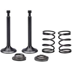 Cancanle Intake Inlet Exhaust Valve Spring Collet Retainer Set for Honda GX160 GX200 168F 170F 5.5-6.5HP Gas Engine Motor Generator Mower