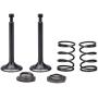Cancanle Intake Inlet Exhaust Valve Spring Collet Retainer Set for Honda GX160 GX200 168F 170F 5.5-6.5HP Gas Engine Motor Generator Mower
