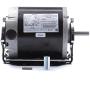Century GF2024 1/4 For hp 1725 RPM 48 Frame 115V Belt Drive Furnace Motor