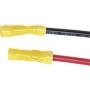 MotorGuide 8M4000953 Marine 50 Amp Trolling Motor Power Plug 2 Prong Consumer Electronics