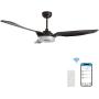 Trifecte 60 Inch Indoor&Outdoor Ceiling Fan with Light and Remote, Smart Ceiling Fan Compatible with App/Alexa/Google/Siri, Low Profile Ceiling Fan with 10-Speed Reversible Quiet DC Motor, ETL Listed