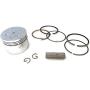 ITACO Piston Kit Ring Set Assy 13101-ZM5-000 13101-ZM5-030 for Honda Motor GX31, FG100, HHE31C, UMK431, WX10-4 Stroke, Chinese 139F Engine Lawnmower Trimmer
