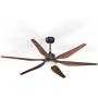 Amico Ceiling Fan with Lights, 66