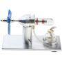 Teerwere Stirling Engine Motor Metal Single Cylinder Stirling Engine Model Alcohol Heating Steam Power Physics Science Experiment Engine Model Toys (Color : Silver, Size : One Size)