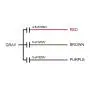 uxcell Ceiling Fan Capacitor CBB61 4.5/6/5uF 250V AC 4 Wires Metallized Polypropylene Film Capacitor 48x38x26mm for Electric Fan Pump Motor Generator 3Pcs