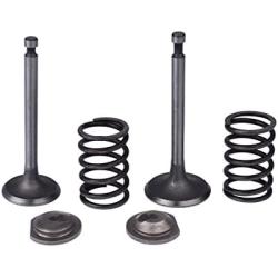 Cancanle Intake Inlet Exhaust Valve Spring Retainer Set for Honda GX340 GX390 11HP 13HP Gas Engine Motor Generator