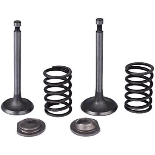 Cancanle Intake Inlet Exhaust Valve Spring Retainer Set for Honda GX340 GX390 11HP 13HP Gas Engine Motor Generator