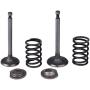 Cancanle Intake Inlet Exhaust Valve Spring Retainer Set for Honda GX340 GX390 11HP 13HP Gas Engine Motor Generator