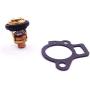 SouthMarine Boat Engine Thermostat Kit 66M-12411-00 66M-12411-01 and Gasket 65W-12414-00 62Y-12414-00 for Yamaha 9.9-70hp 4-Stroke Outboard Motor