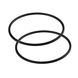 Motor Seal Gasket O-Ring Replacement for Summer Waves SFX1000 & SFX600 Filter Pool Pumps, Parts # P58147800-2 Pack