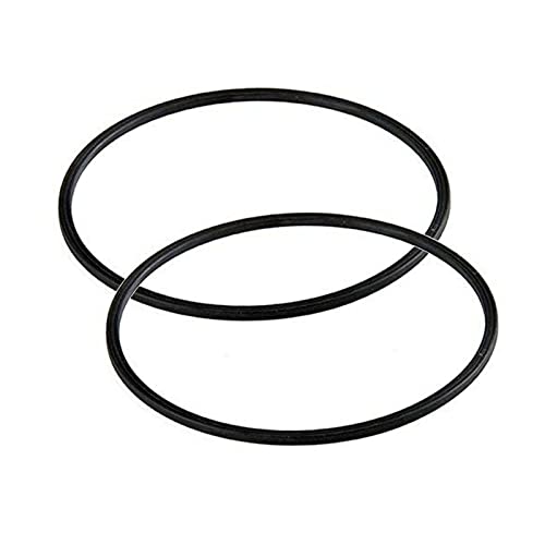 Motor Seal Gasket O-Ring Replacement for Summer Waves SFX1000 & SFX600 Filter Pool Pumps, Parts # P58147800-2 Pack