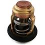 Boat Motor Cylinder Thermostat for Yamaha Outboard F 4HP - 70HP 66M-12411-01 6G8-12411 60 degrees 4-stroke Engine