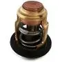 Boat Motor Cylinder Thermostat for Yamaha Outboard F 4HP - 70HP 66M-12411-01 6G8-12411 60 degrees 4-stroke Engine