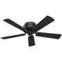 Hunter Cedar Key Indoor / Outdoor with LED Light and Remote Control, 52