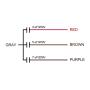 uxcell Ceiling Fan Capacitor CBB61 4/5/7uF 250V AC 4 Wires Metallized Polypropylene Film Capacitor 48x38x26mm for Electric Fan Pump Motor Generator 3Pcs