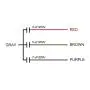 uxcell Ceiling Fan Capacitor CBB61 4/5/7uF 250V AC 4 Wires Metallized Polypropylene Film Capacitor 48x38x26mm for Electric Fan Pump Motor Generator