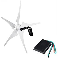 coldwind 4000W Electric Wind Turbine Generator 5 Blades Windmill DC 12V 24V Strong Power Aerogenerator Green Energy Generating+Controller-White 24v