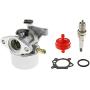 DGZZI 799866 794304 Carburetor for 796707 790845 799871 Engine Motor Lawn Mower Part