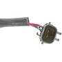 Rear Right Passenger Side Power Window Regulator with Motor Compatible with Jeep Grand Cherokee 1999-2000 (2 Pins Plug)