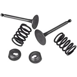 Cancanle Intake Inlet Exhaust Valve Spring Retainer Set for Honda GX340 GX390 11HP 13HP Gas Engine Motor Generator