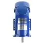 LuckyHigh Permanent Magnet DC Motor 3/4 HP Electric Motor 1750 RPM 90V with 2 Carbon Brushes