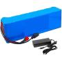 Wnicek Ebike Battery 48V 10Ah Bicycle Lithium Ion Batteries with Charger BMS Electric Bicycle Battery for 1000W 700W 500W 350W 250W 100W Bike Motor