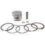 ITACO Piston Kit Ring Set Assy 13101-ZM5-000 13101-ZM5-030 for Honda Motor GX31, FG100, HHE31C, UMK431, WX10-4 Stroke, Chinese 139F Engine Lawnmower Trimmer